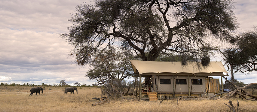 Elephants and elegant tented accommodation at Somalisa Expeditions Camp in Mana Pools, Zimbabwe