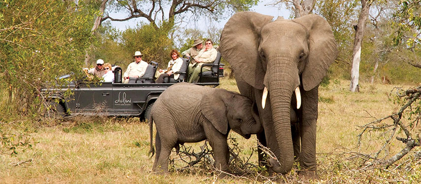 Mother and baby elephant found on a game drive at Dulini Lodge