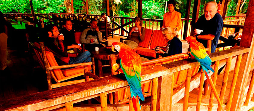 Explore the wildlife of the Amazon at Tambopata Research Centre