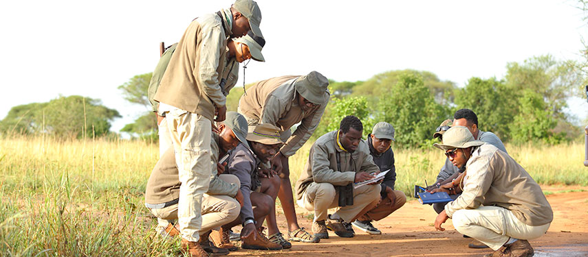 A group of walkers studying footprints on a Tanzania safari in Tarangire National Park