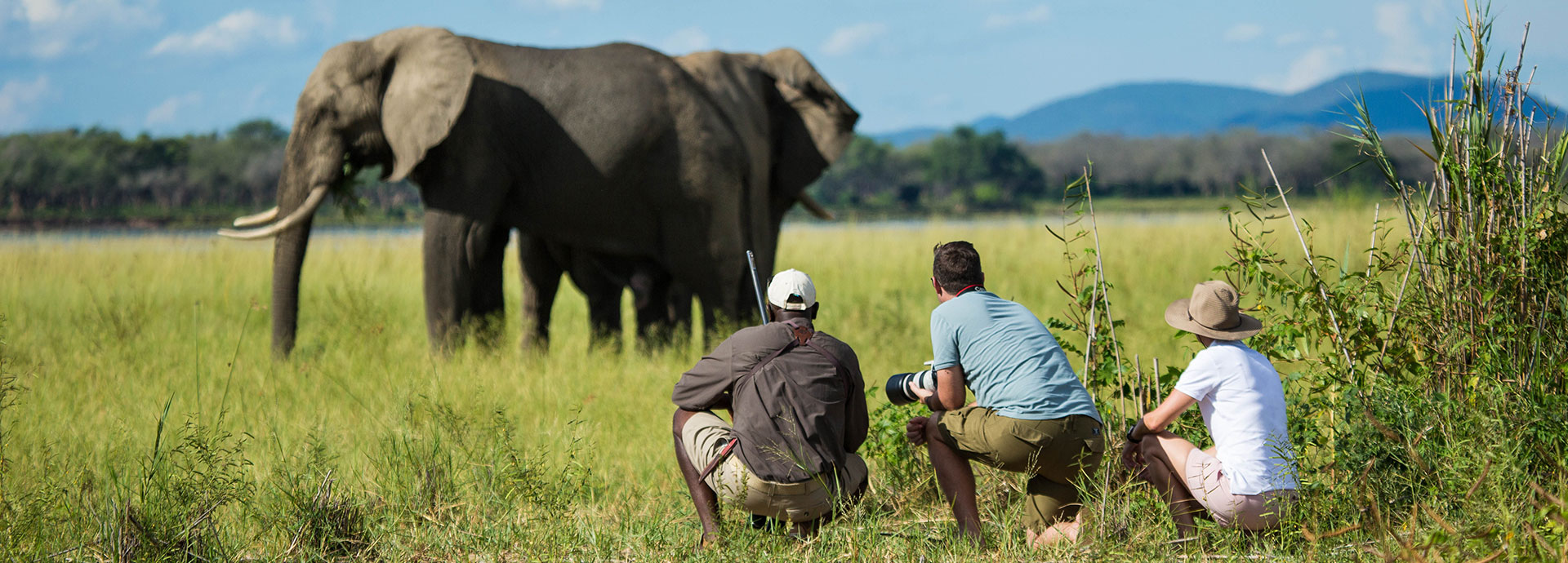 Tembo Plains elephant safari Zimbabwe