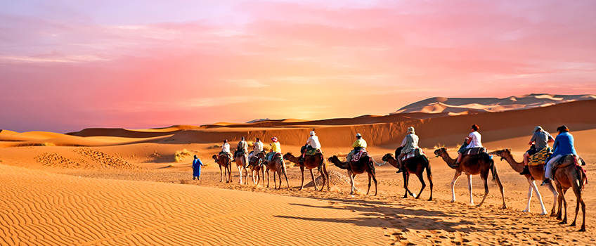 Camel trekking through the Sahara Desert in Morocco