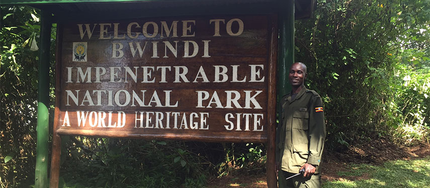 The entrance to Bwindi Impenetrable Forest where visitors can intake great ape gorilla trekking