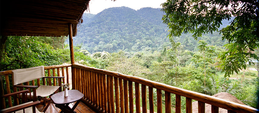 Relax with views over the Bwindi Impenetrable Forest at Buhoma Lodge