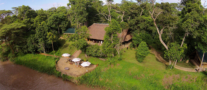 Look out for tree-climbing lions at Ishasha Tented Camp