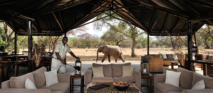 Elephant are a common sight from the communal tent at Old Mondoro camp
