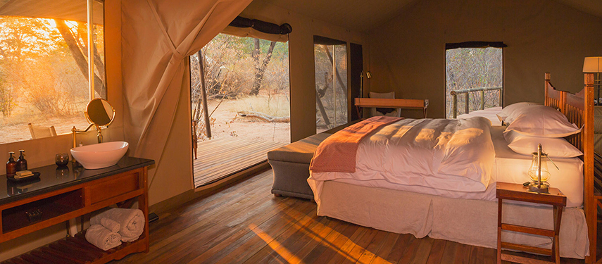 Sunlight filters into a twin-bedded tented room with wooden floors and canvas walls, facing a private deck.