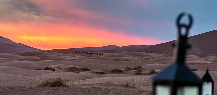 Camel caravan crossing the Erg Chebbi dunes at sunset with lantern in the foreground.