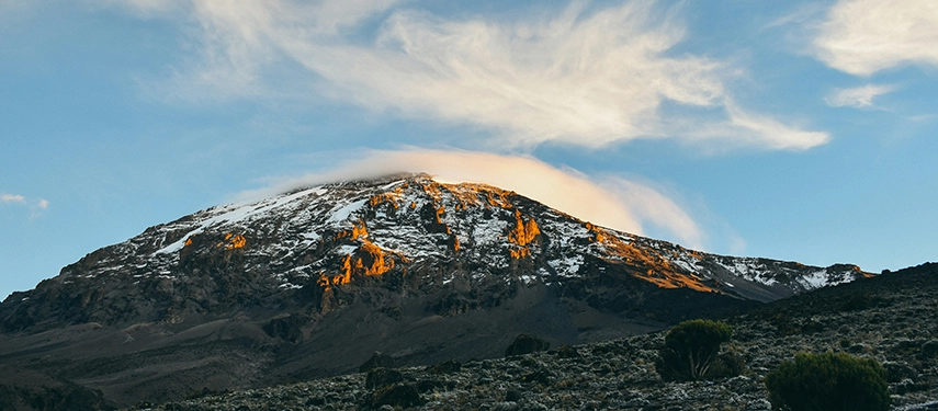 Towering snow-covered peak of Mount Kilimanjaro above acacia-dotted plains bathed in late afternoon light.