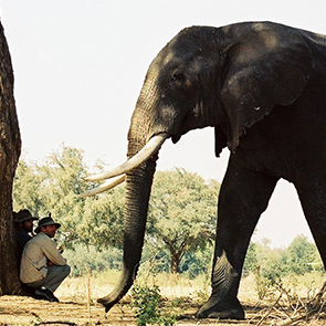 Africa’s Pink Diamond