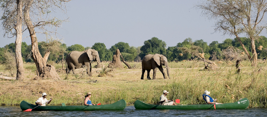 Gliding past two elephants whilst canoeing on the mighty Zambezi River at Ruckomechi Camp, Zimbabwe